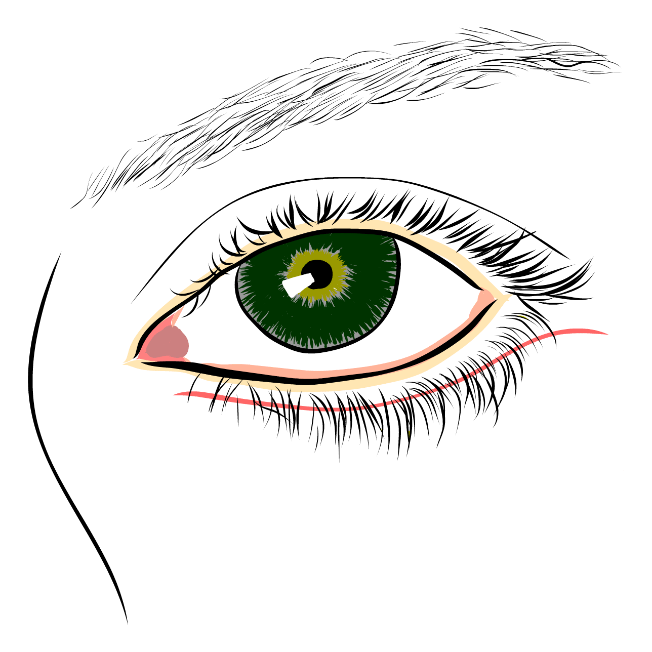 Operace dolních víček - jizva