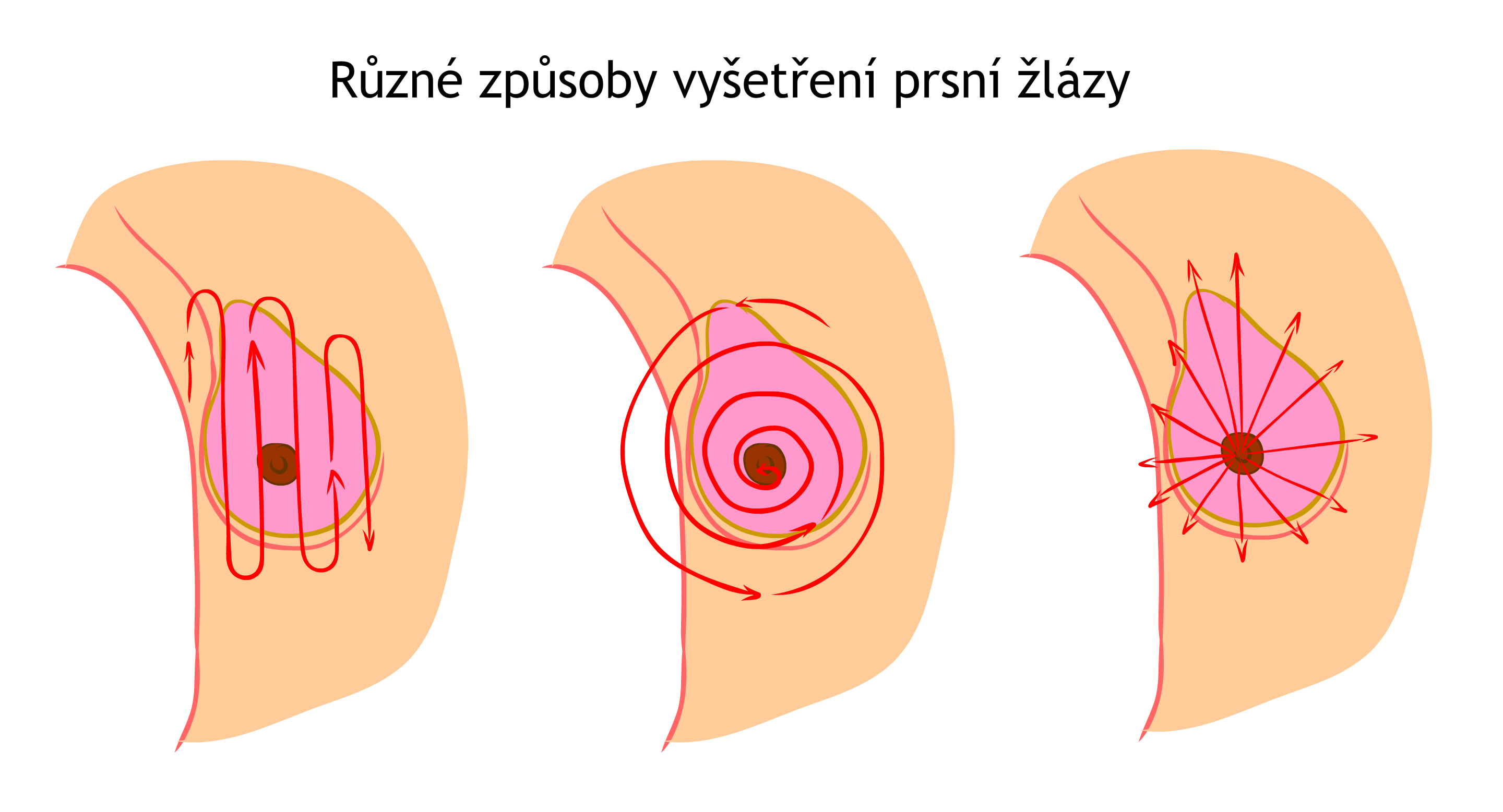 Schéma postupu samovyšetřování prsů