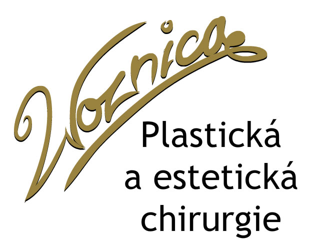 Woznica plastika logo